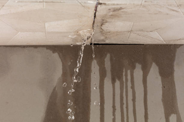 Professional Burst Pipe Cleanup technician working in Alamo, GA